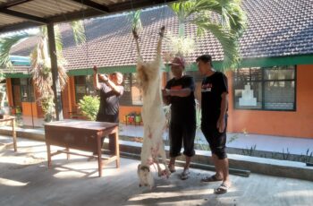 Penyembelihan Hewan Qurban – Idul Adha 1445H/2024M